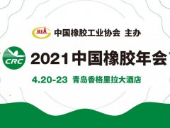 第十六届中国橡胶年会