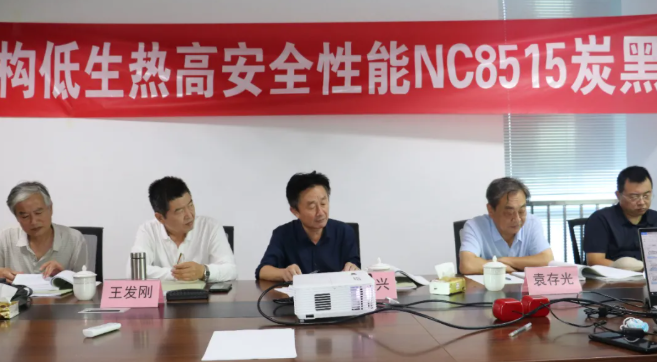 NC8515炭黑获评国际先进