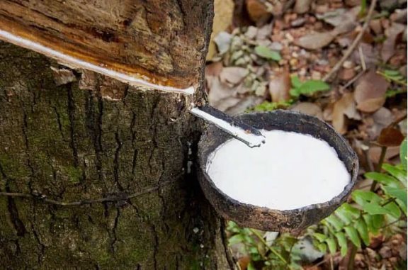 天然橡胶主产地产量下滑橡胶产能受限