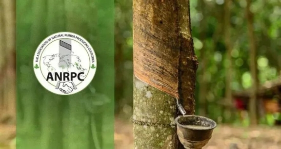 ANRPC预计2021年全球天橡胶产量1386 万吨