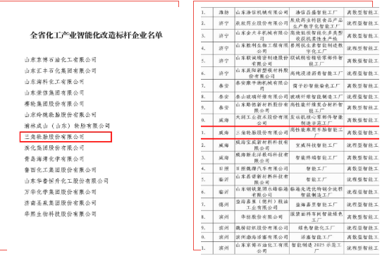 三角轮胎获评山东省两个“智能化”奖项