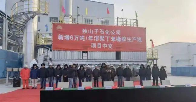 年产 6 万吨橡胶项目,建设完成 年产 6 万吨橡胶项目,建设完成