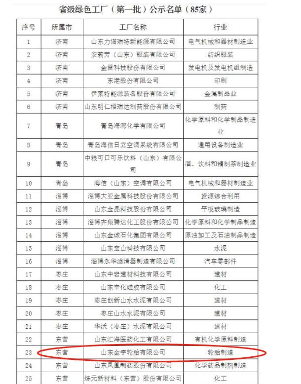 山东轮胎企业名单3