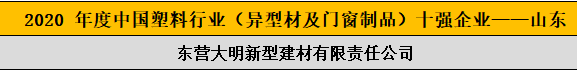 2020 年度中国塑料行业（异型材及门窗制品）十强企业——山东