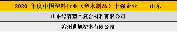 2020 年度中国塑料行业（塑木制品）十强企业——山东