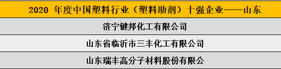 2020 年度中国塑料行业（塑料助剂）十强企业——山东