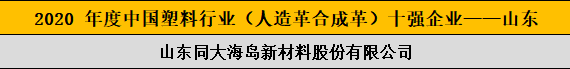 2020 年度中国塑料行业（人造革合成革）十强企业——山东