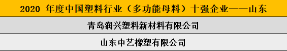 2020 年度中国塑料行业（多功能母料）十强企业——山东