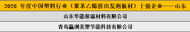 2020 年度中国塑料行业（聚苯乙烯挤出发泡板材）十强企业——山东