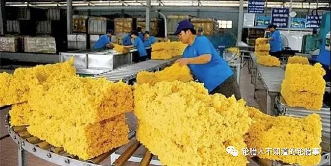 中国仍是越南橡胶最大出口市场