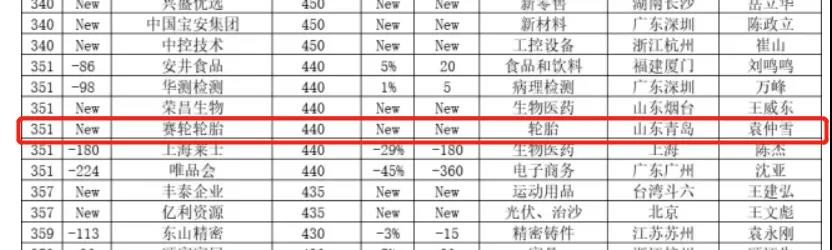 赛轮轮胎