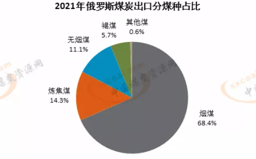 2021年俄罗斯出口煤种占比