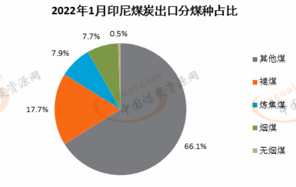 2022.1分煤种出口占比