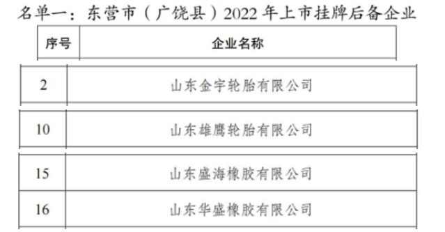 东营4大轮胎，排队上市！