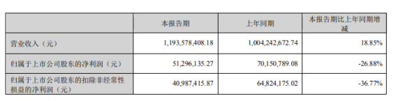 橡塑企业道恩股份分布第一季度报告