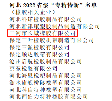 长城橡胶被认定为2022年省级专精特新中小企业