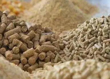 山东省饲料行业统计预测