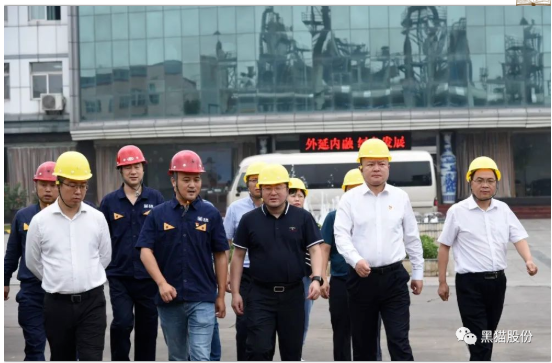 韩城市副市长斯宏浩一行到韩城黑猫调研指导