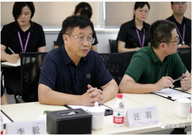汪羽表示,安徽黑猫公司与民营企业的合作是成功的,具有可复制意义 汪羽表示,安徽黑猫公司与民营企业的合作是成功的,具有可复制意义