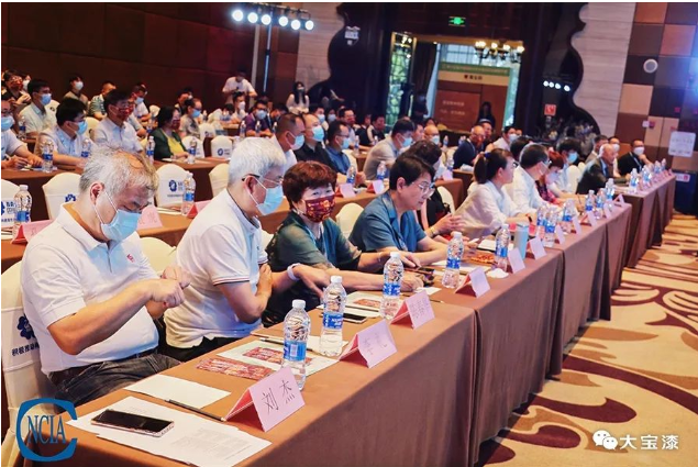 中国国际水性木器涂料研讨会会议现场