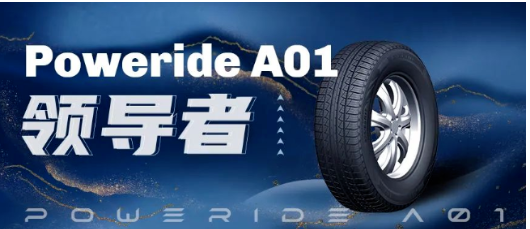 双钱集团始终致力于成为“中国最专业的轮胎制造商和服务商