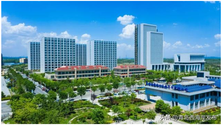董家口经济区 董家口经济区