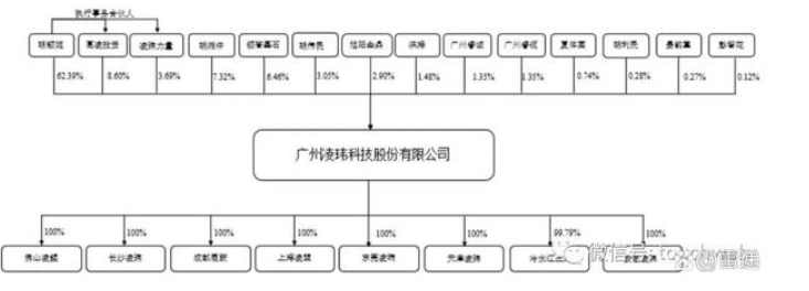 胡湘仲胡颖妮父女为实控人