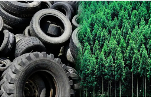 2005年至今，约有170万条、近40万吨废旧轮胎被中策橡胶循环处理，累计节省碳排放51万吨，相当于多种2787万棵树。