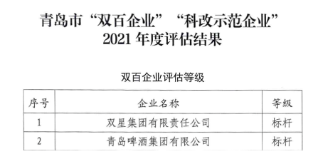 10.双星集团，全国国企改革“双百企业”标杆!