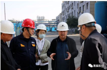赵伟就乌海黑猫公司概况、发展规划及生产经营情况向调研组进行汇报。