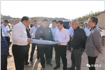 林卫春一行调研督导黑猫集团精细化工项目建设
