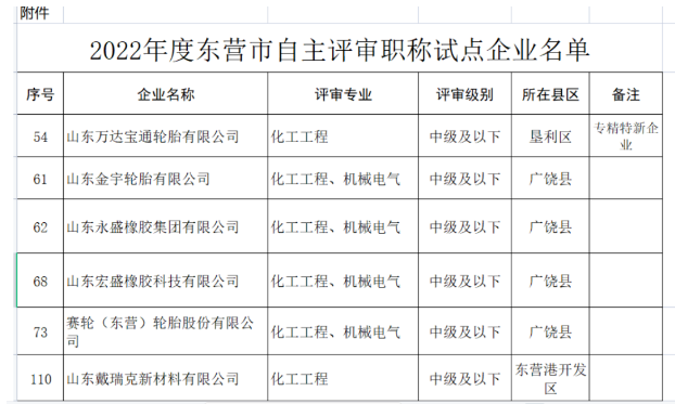 职称自主评审，5家轮胎企业试点！