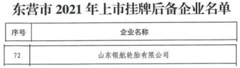 领航轮胎 领航轮胎