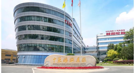 中策橡胶集团股份有限公司申报的项目