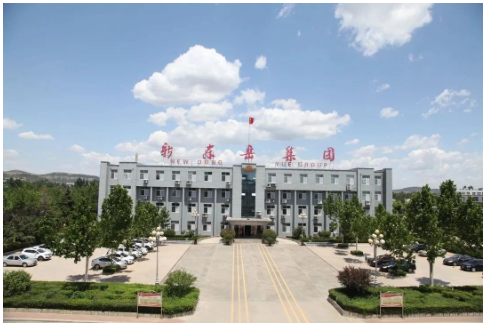 新东岳集团