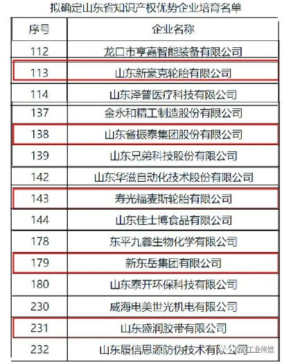 山东振泰、新豪克、福麦斯等,入选山东省知识产权优势企业培育名单 山东振泰、新豪克、福麦斯等,入选山东省知识产权优势企业培育名单