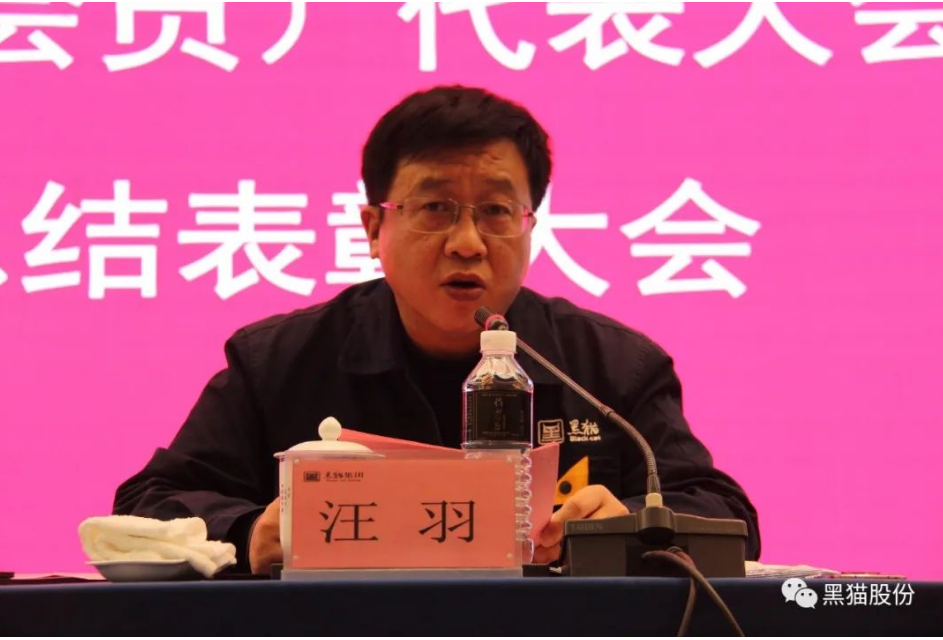 黑猫集团党委副书记、总经理汪羽 黑猫集团党委副书记、总经理汪羽