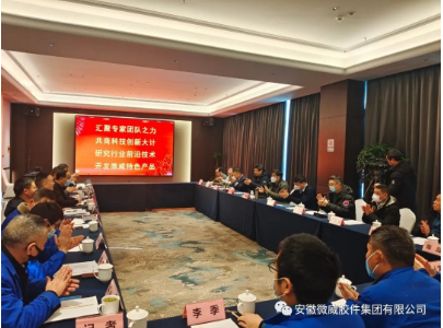 安徽微威胶件集团有限公司 安徽微威胶件集团有限公司