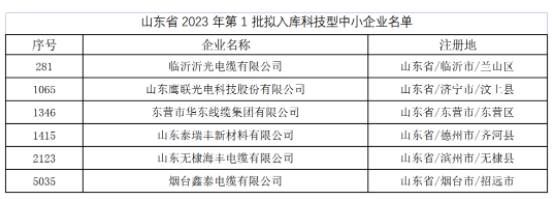 其中，东营市华东线缆集团有限公司、临沂沂光电缆有限公司、山东鹰联光电科技股份有限公司、山东泰瑞丰新材料有限公司、山东无棣海丰电缆有限公司、烟台鑫泰电缆有限公司等多家电线电缆企业进入山东省2023年第1批拟入库科技型中小企业名单。