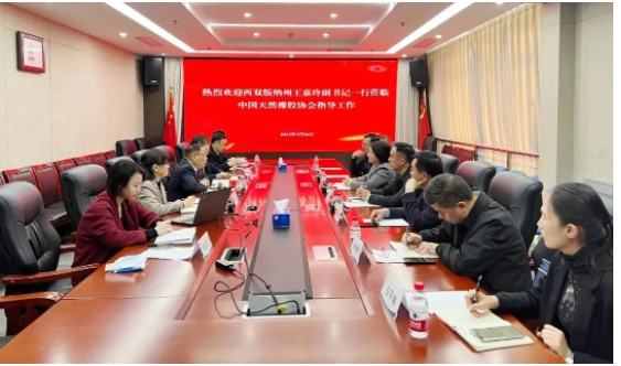 西双版纳州委副书记、州委统战部部长王嘉玲率领相关单位领导一行赴中国天然橡胶协会进行访谈，