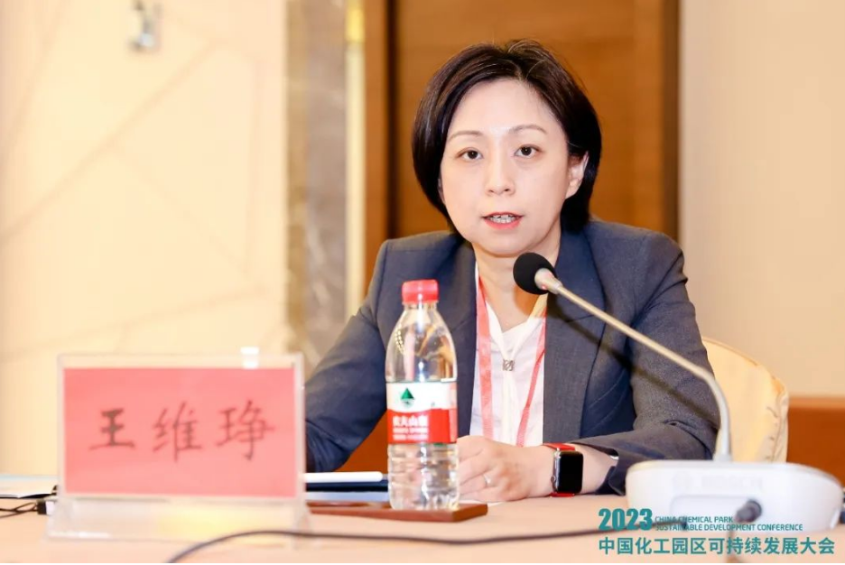 卡博特副总裁、中国区董事总经理及功能性补强材料中国区业务总监王维琤女士