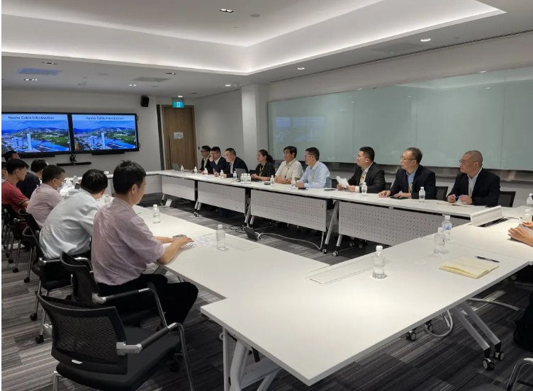 汉河集团董事长张大伟率队访问SP Group，推进两国电缆行业合作