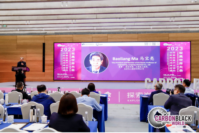 在此次会议中，龙星化工股份有限公司董事会董事、副总经理、正高级工程师马宝亮发表了精彩演讲。