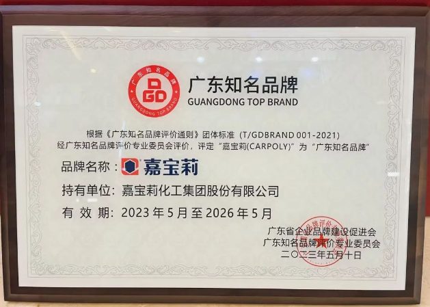 在此次广东品牌发展大会上，嘉宝莉所获得的"广东知名品牌"殊荣不仅是对公司实力和努力的肯定，也是对其品牌价值和市场竞争力的认可。嘉宝莉将以此为契机，进一步加强品牌建设，提升产品研发创新能力，不断满足消费者的需求，为行业的发展作出更大贡献。