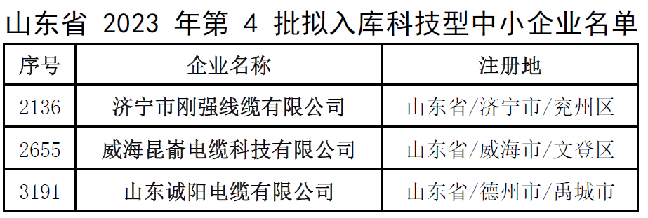 此次入库名单的公示将为这些企业带来更多的发展机遇和资源支持，同时也为其他科技型中小企业树立了榜样。