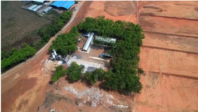 曼列橡胶加速推进橡胶基地项目建设，助力地方经济增长