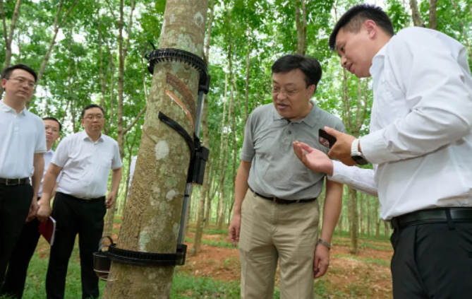 据了解，天然橡胶作为国家重要的战略物资和工业原料，也是胶农收入的重要来源。海南作为我国重要的天然橡胶生产和加工基地，冯飞书记指出，海南合胜橡胶科技有限公司和相关科研单位应始终怀揣着"国之大者"的情怀，坚定发展信心，聚焦海南天然橡胶全产业链发展，致力于打破产业链发展中的阻碍，推动海南天然橡胶产业高质量发展，确保国家天然橡胶供给的安全。