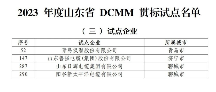 多家电线电缆企业入选山东省DCMM贯标试点名单