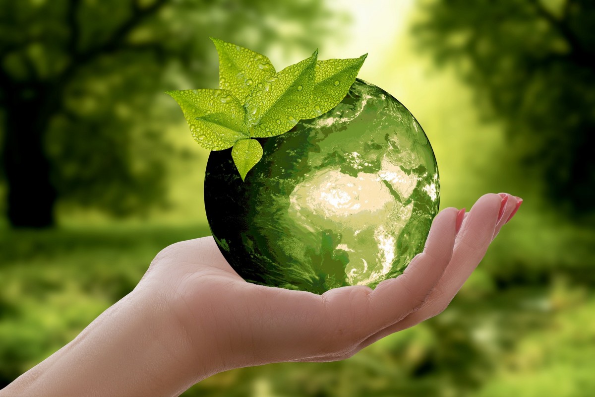 卡博特在华举办多场“全球可持续发展日”活动
