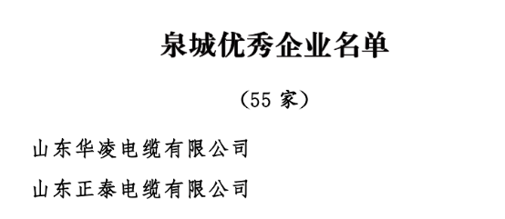 中共济南市委、济南市人民政府发布了《关于表彰济南市优秀企业和优秀企业家的决定》，以激励和表彰全市广大企业和企业家在济南经济社会发展中的卓越贡献。经过严格评选，55家企业被授予“泉城优秀企业”称号。其中山东华凌电缆有限公司、山东正泰电缆有限公司被授予“泉城优秀企业”称号。